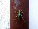 dscf3269.jpg