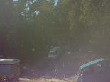 img00044.jpg